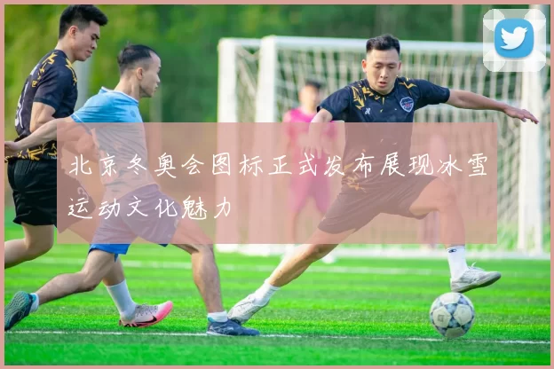 北京冬奥会图标正式发布展现冰雪运动文化魅力