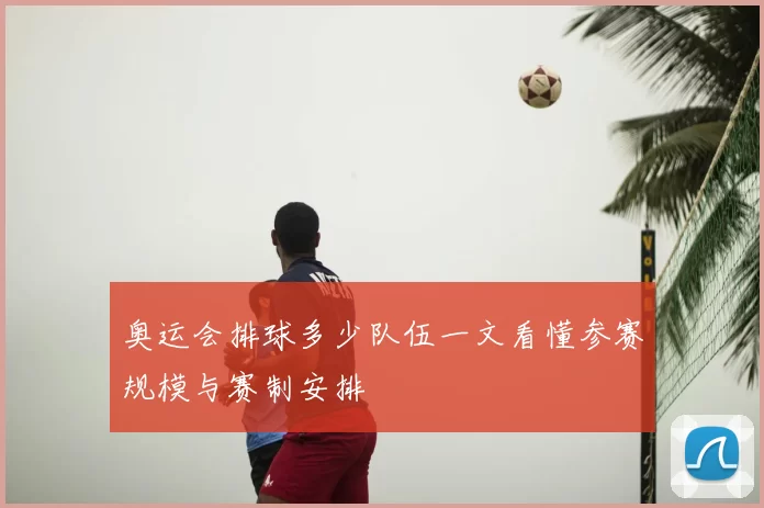 奥运会排球多少队伍一文看懂参赛规模与赛制安排